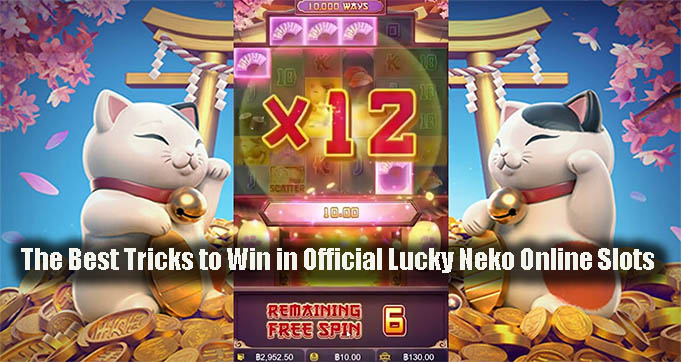 The Best Tricks to Win in Official Lucky Neko Online Slots